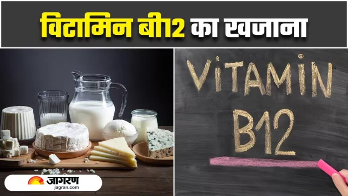 Vitamin-B12 की कमी दूर करने के लिए डाइट में शामिल करें यह सस्ती चीज (Image Source: Freepik)