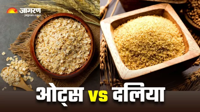 Oats vs Dalia: ओट्स खाएं या दलिया, जानें वेट लॉस के लिए कौन-सा ऑप्शन है बेस्ट? (Image Source: Freepik)