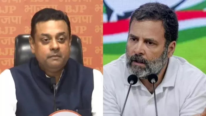 राहुल पर जमकर बरसी भाजपा। (फाइल फोटो)
