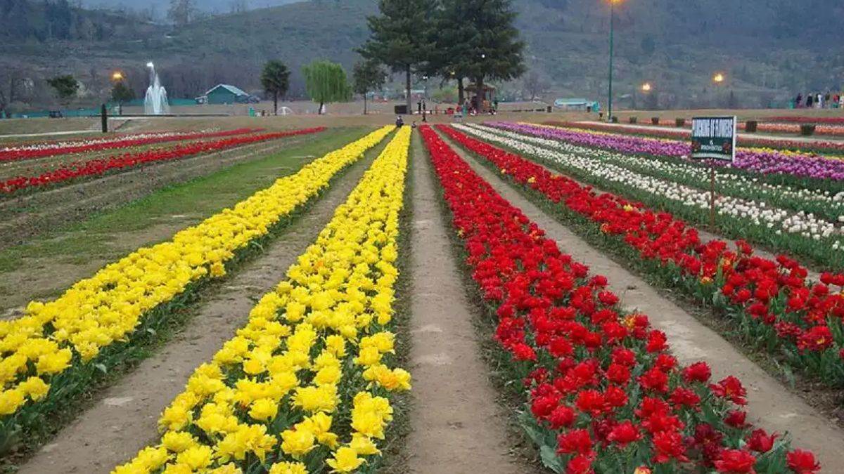 https://www.jagranimages.com/images/newimg/21042025/21_04_2025-tulip_garden_23923164.jpg