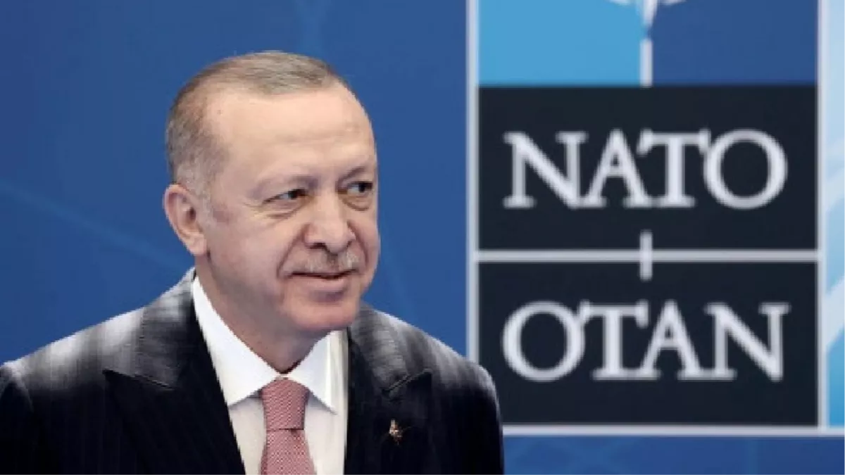 NATO Membership: तुर्की के राष्ट्रपति एर्दोगन ने नाटो की सदस्यता के लिए स्वीडन और फिनलैंड के साथ अपनी चिंताओं पर चर्चा की