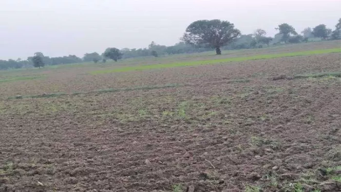 बिहार में चल रहा भूमि सर्वेक्षण। प्रतीकात्मक तस्वीर