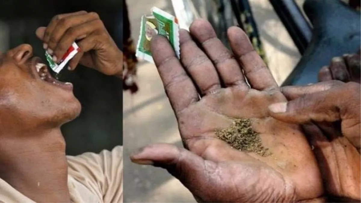 तंबाकू खाने वालों में पंजाब से आगे हरियाणा, चंडीगढ़ में भी 12.1 प्रतिशत लोग करते हैं सेवन, सर्वे में चौंकाने वाला खुलासा