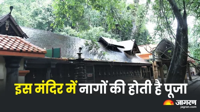 Mannarasala Mandir Kerala केरल के इस मंदिर में होती है नांगो की पूजा।