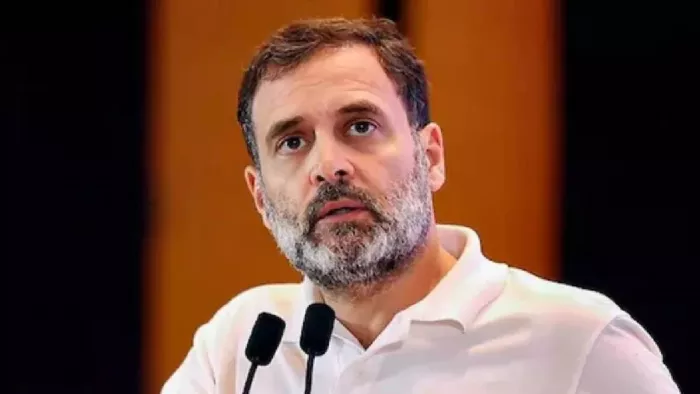 Haryana News: हरियाणा में कल तीन रैलियां करेंगे राहुल गांधी। फाइल फोटो