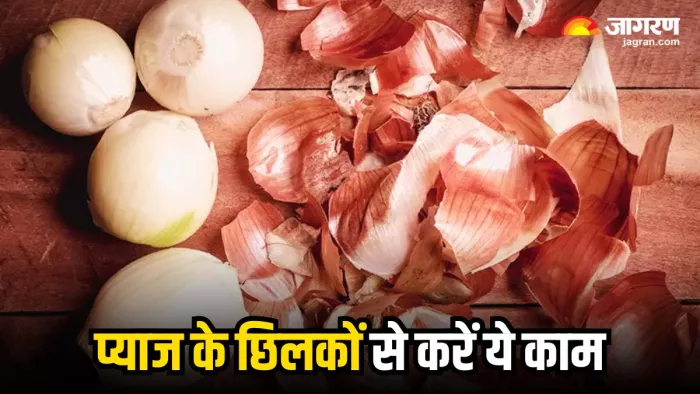 फेंकिए नहीं प्याज के छिलके, इन 3 तरीकों से करें इसका इस्तेमाल (Image Source: Freepik)