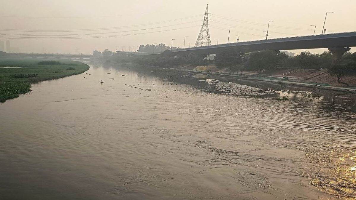 ncr harnandi river cleanup using phyto remediation in ghaziabad