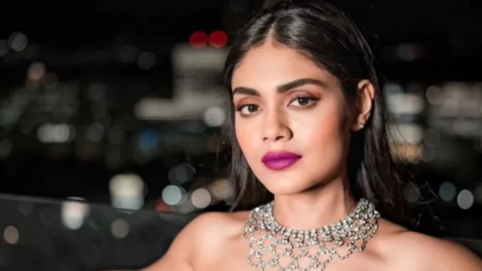 File Photo of Sreejita De. Photo Credit: Instagram