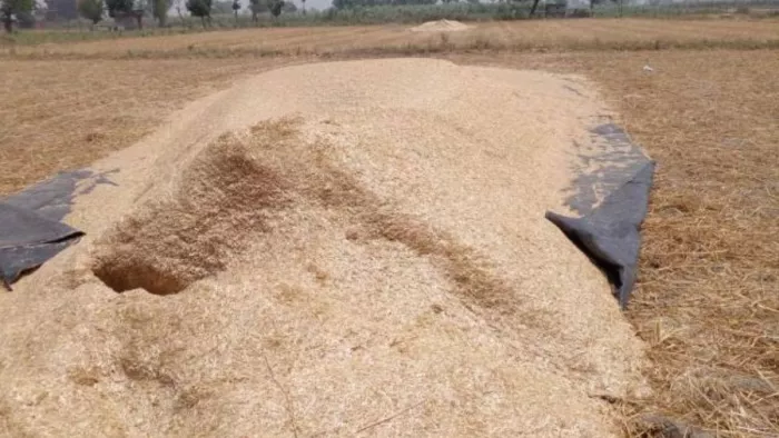 मां से बोली बेटी, भाई को पापा ने भूसे में दबाकर मार डाला - प्रतीकात्मक तस्वीर