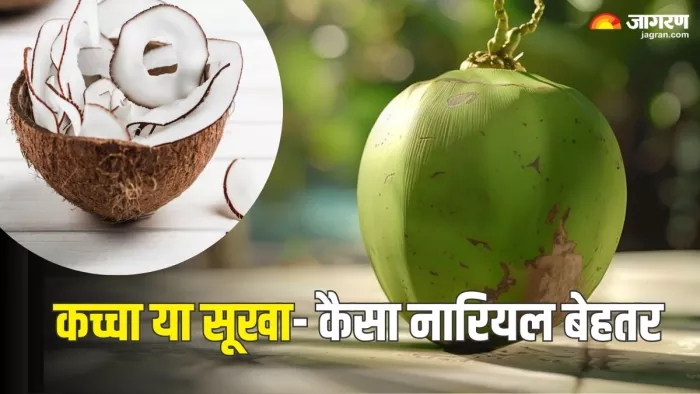 कौन-सा नारियल है ज्यादा फायदेमंद (Picture Credit- Freepik)