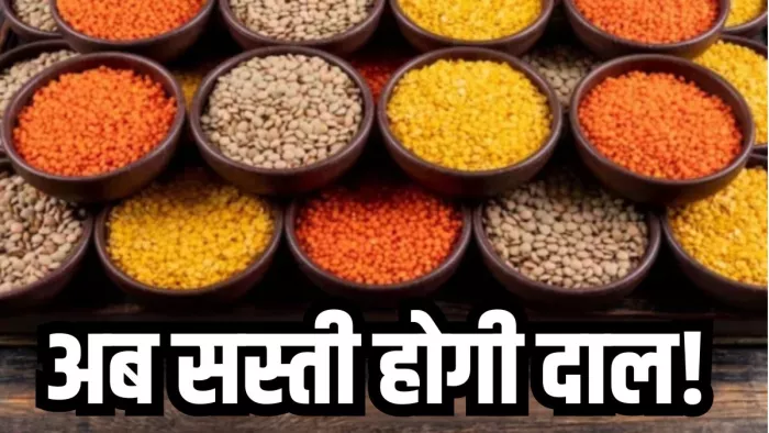 सरकार दाल मंहगी होने की वजह अनुचित जमाखोरी और सट्टेबाजी को मान रही है।