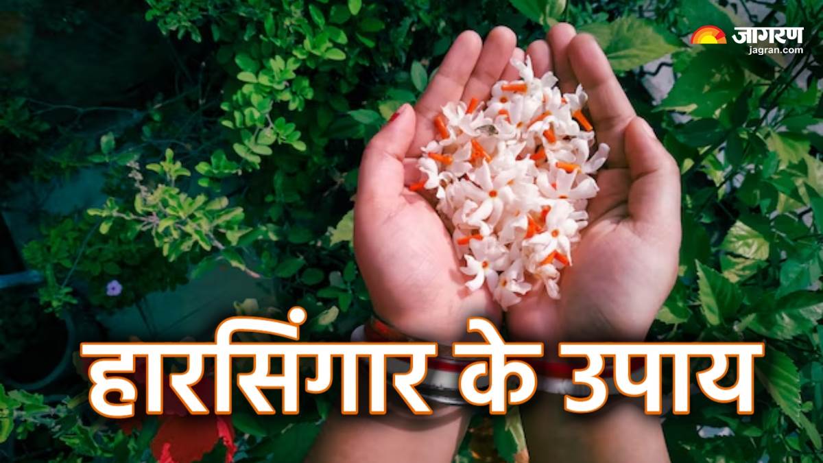 https://www.jagranimages.com/images/newimg/21062025/21_06_2025-harsingar_ke_upay_23966379.jpg