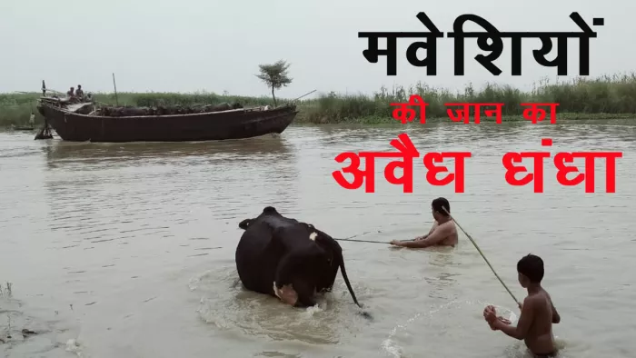इस रैकेट में झारखंड, बिहार और बंगाल के तस्कर शामिल हैं।