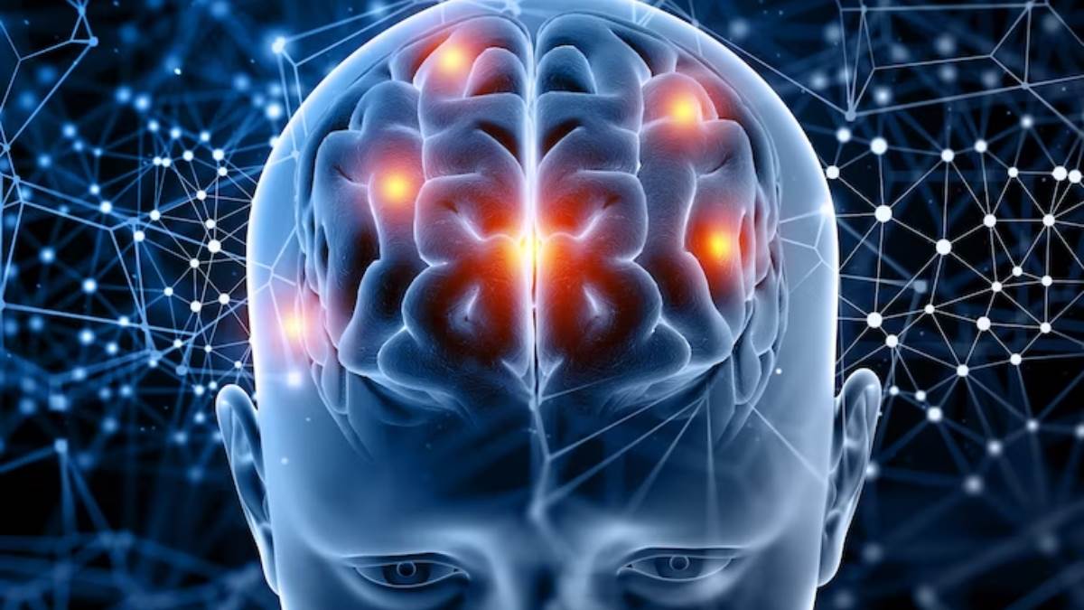 https://www.jagranimages.com/images/newimg/21072023/21_07_2023-brain_function_23478067.jpg