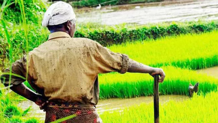 मुआवजा राशि बढ़ाने का आदेश सरकार ने दस अक्टूबर 2022 में किए थे।