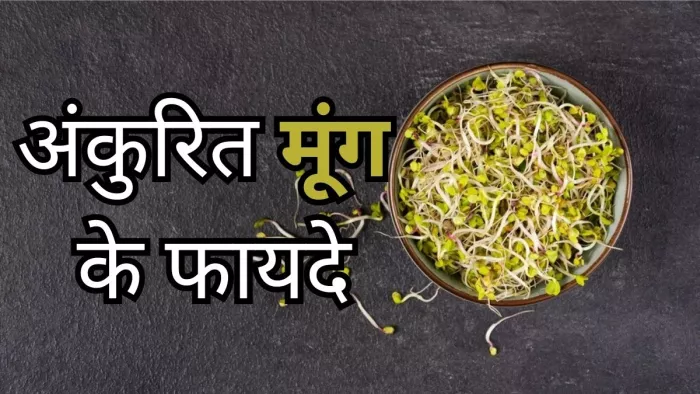जानें क्या है अंकुरित मूंग के फायदे