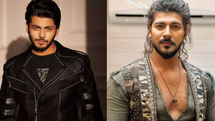 Sheezan Khan Called Ali Baba Actor Abhishek Nigam, Instagram