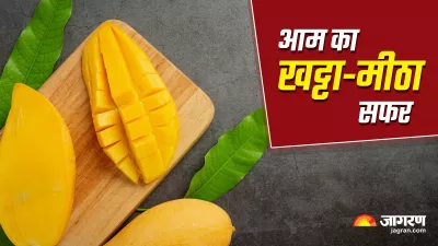 history and origin of mango