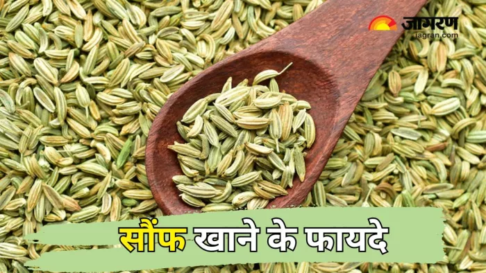 खाने के बाद Saunf खाने के फायदे (Picture Courtesy: Freepik)