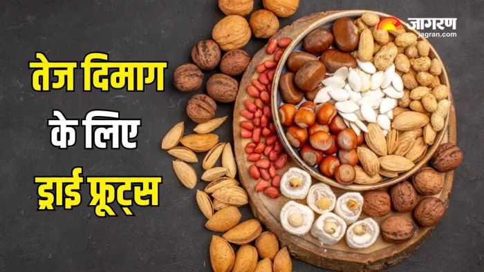 याददाश्त मजबूत बनाते हैं ये Dry Fruits (Picture Courtesy: Freepik)