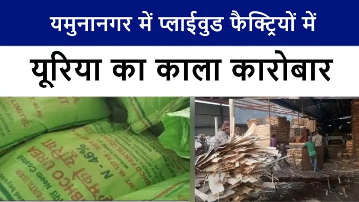 आखिर क्यों प्लाईवुड कारखाने में पहुंच रही कृषि योग्य यूरिया।