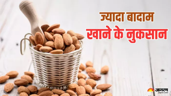 क्या होगा अगर जरूरत से ज्यादा बादाम खाएंगे आप? (Image Credit- Freepik)