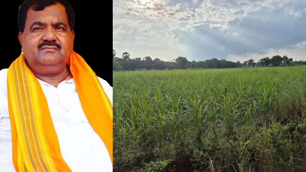 Harsidhi vidhan sabha Seat 2025: गांवों तक बिजली-सड़क तो पहुंची, कृषि के लिए प्रोसेसिंग प्लांट नहीं लगने का मलाल