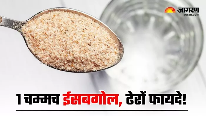 खाना खाने से पहले ईसबगोल लेने से होंगे कमाल के फायदे (Image Source: Freepik)