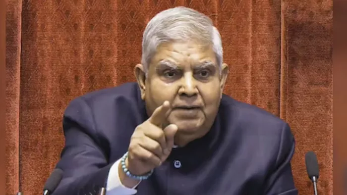 स्वास्थ्य कारणों का हवाला देते हुए उप राष्ट्रपति ने दिया पद से इस्तीफा। (फाइल फोटो)