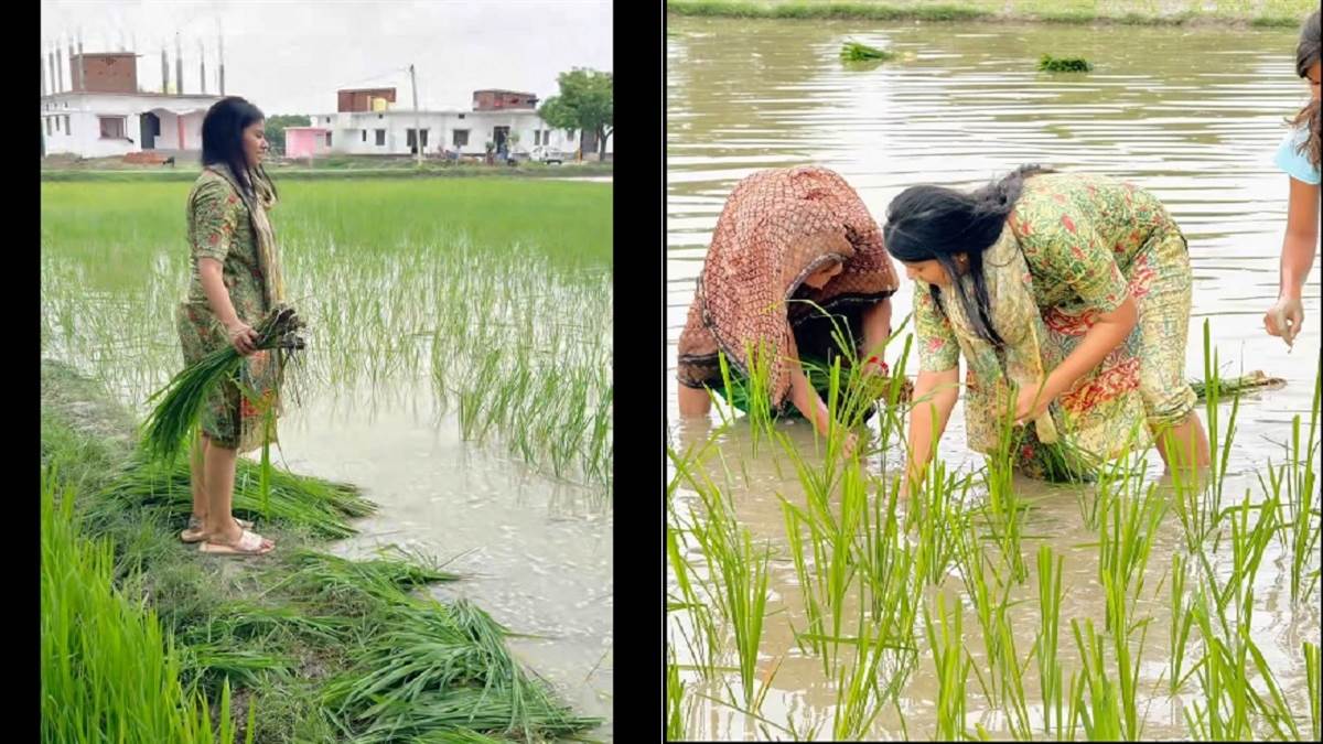 https://www.jagranimages.com/images/newimg/21072025/21_07_2025-mp_priya_saroj_farming_dainik_jagran_23990051.jpg