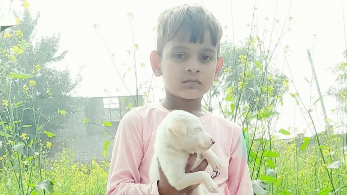Hero Image