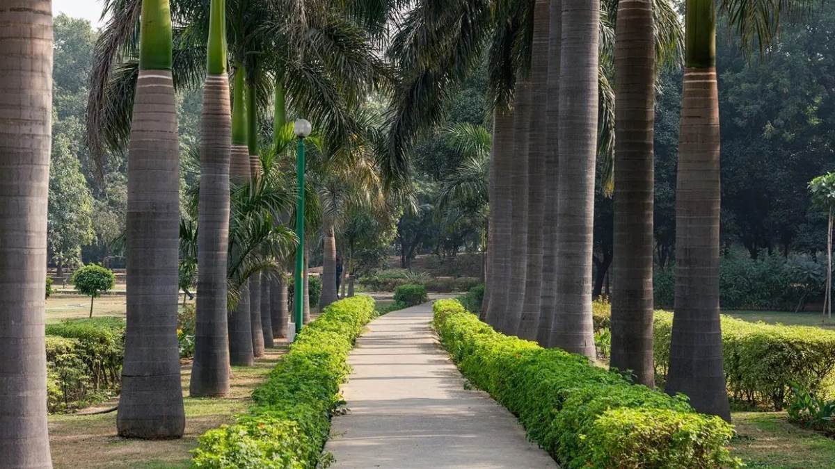 https://www.jagranimages.com/images/newimg/21072025/21_07_2025-nehru_park_23990639.jpg