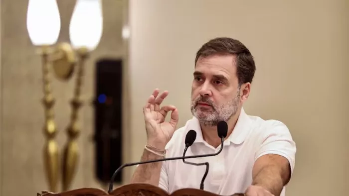 राहुल गांधी के आरोप पर बीजेपी सांसद ने दिया जवाब। (फाइल फोटो)