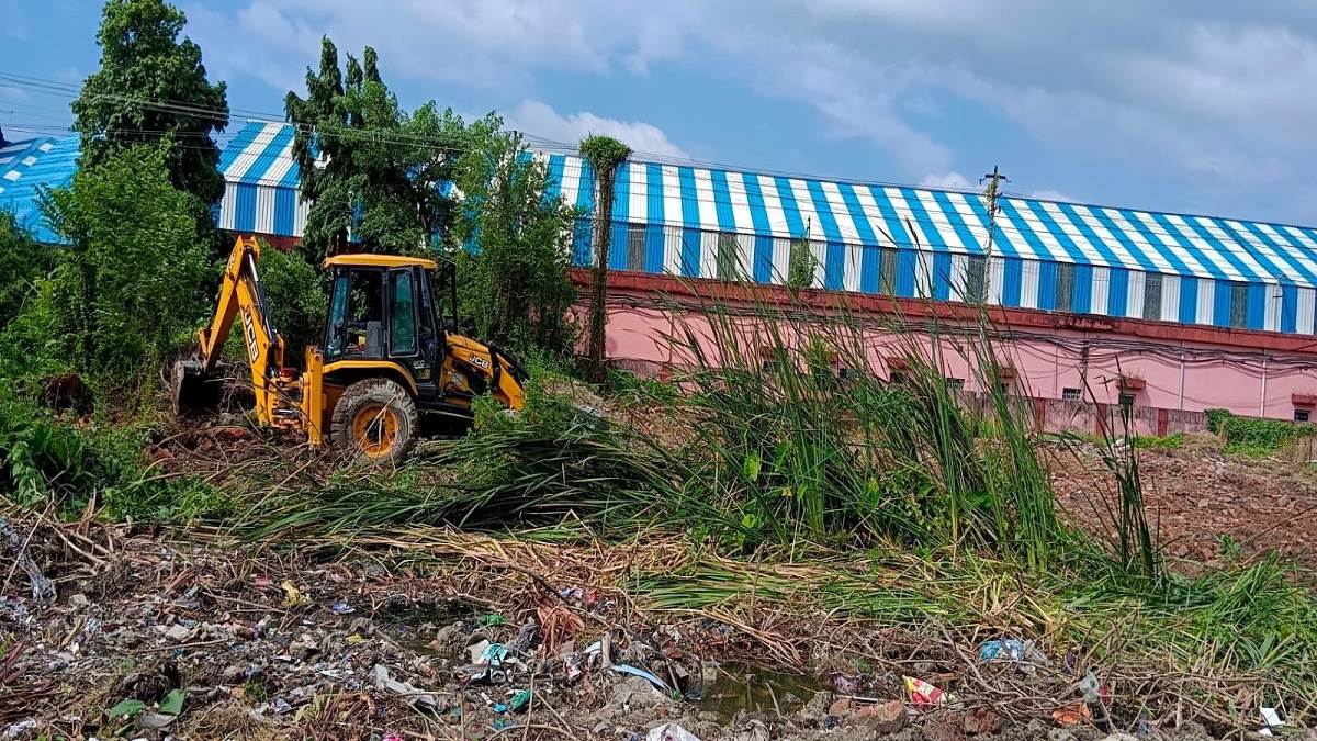 News Article Hero Image