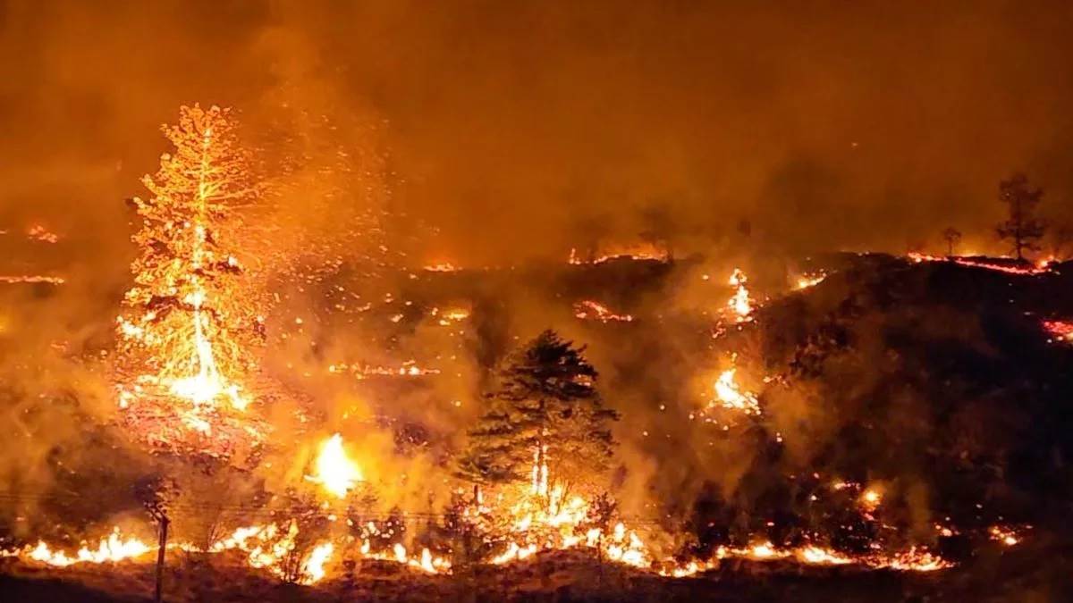 https://www.jagranimages.com/images/newimg/21082023/21_08_2023-canada_fire_23507229.jpg