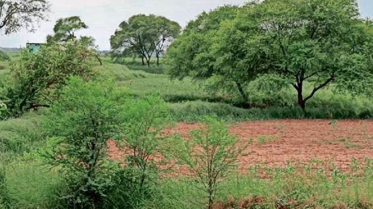 https://www.jagranimages.com/images/newimg/21082023/21_08_2023-chandauli_2_23507679.jpg