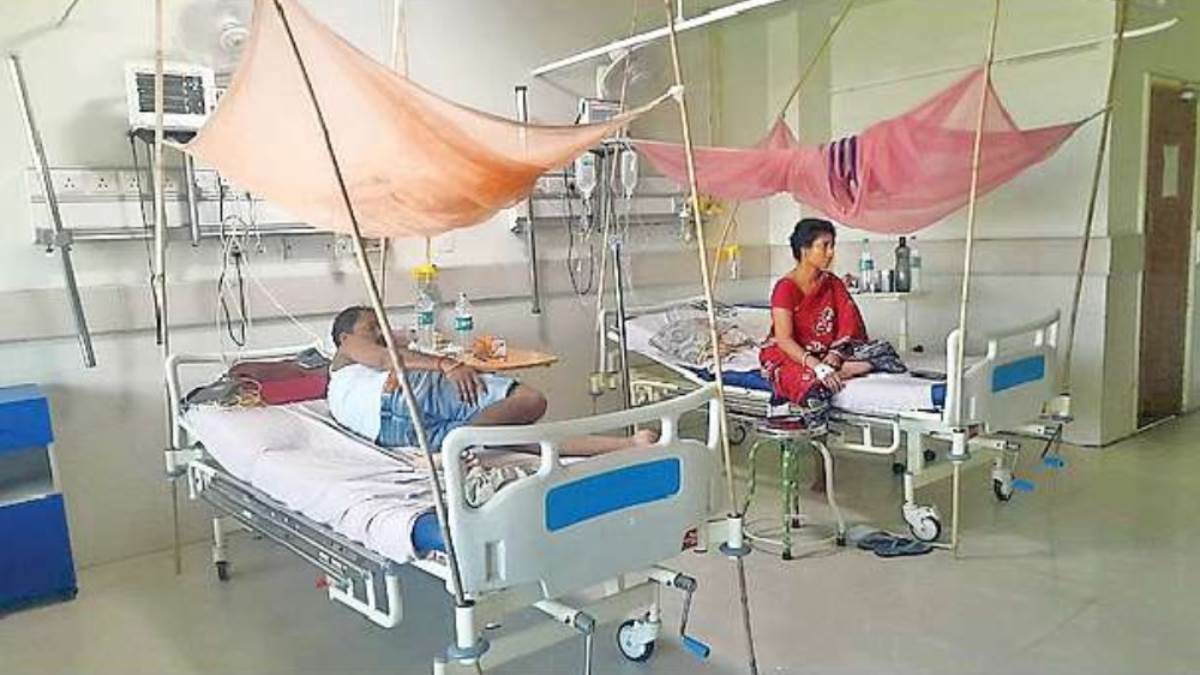 ncr noida dengue cases dengue cases are increasing continuously in noida beds are not available in hospitals