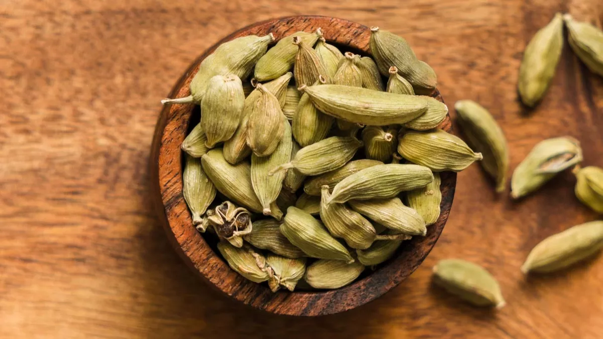 Green Cardamom Benefits: हाई बीपी से लेकर शुगर तक की समस्या के इलाज में फायदेमंद है किचन में रखा ये मसाला
