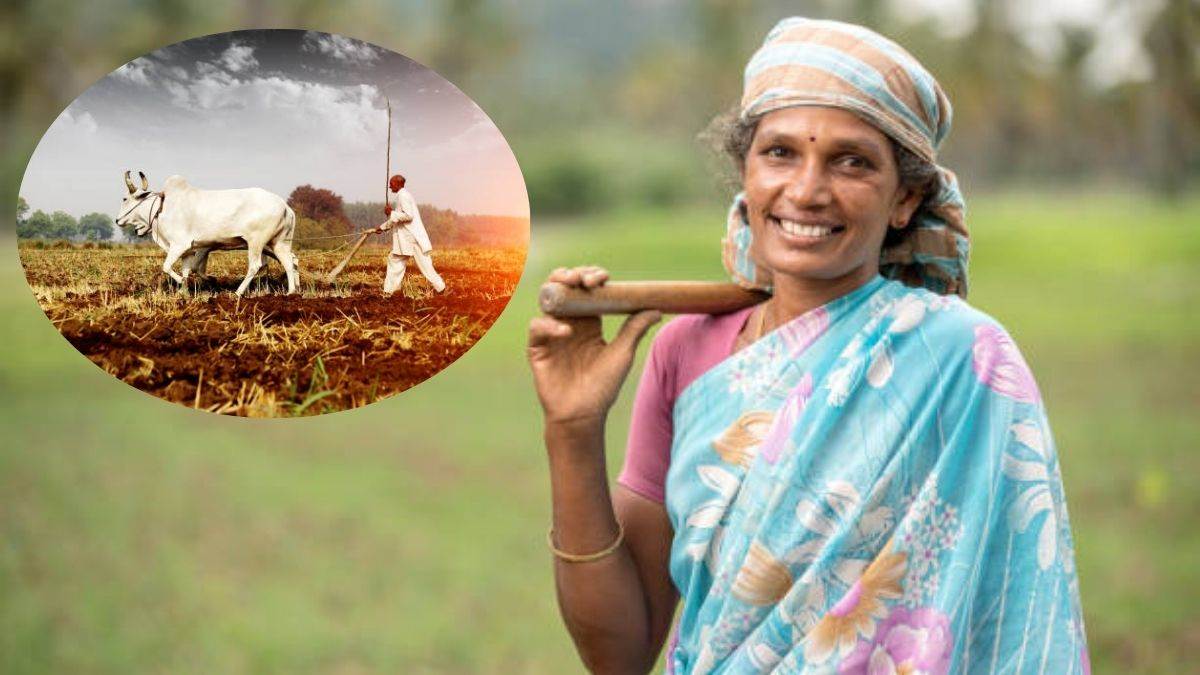https://www.jagranimages.com/images/newimg/21082025/21_08_2025-agri_inflation_24020223.jpg