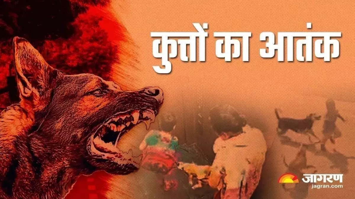 मऊ में आवारा कुत्ते ने बच्ची को काटकर किया जख्मी, 16 टांके लगाने की आई नौबत
