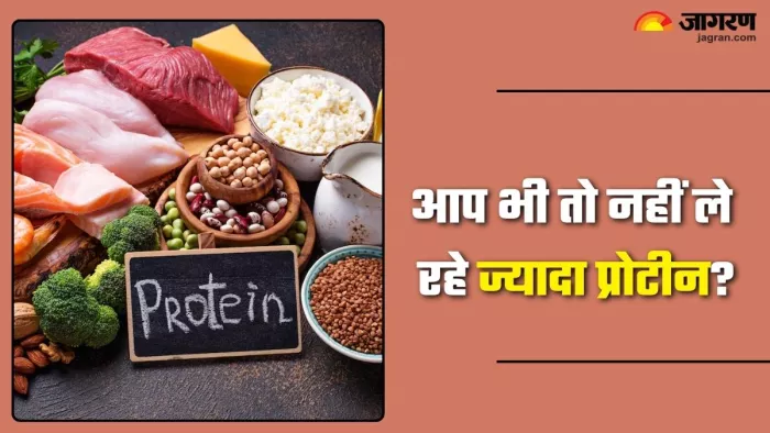 इन संकेतों से समझें कि ज्यादा प्रोटीन ले रहे हैं आप (Picture Credit- Freepik)
