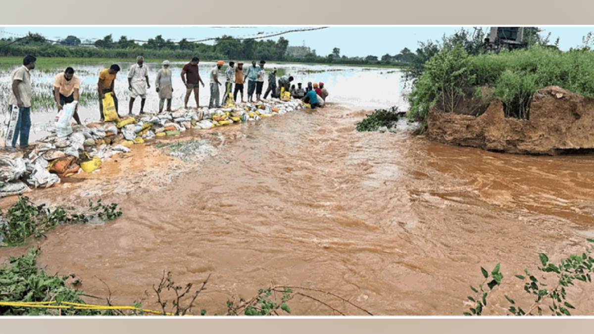 https://www.jagranimages.com/images/newimg/21082025/21_08_2025-haryana_latest_news_weather_24019828.jpg