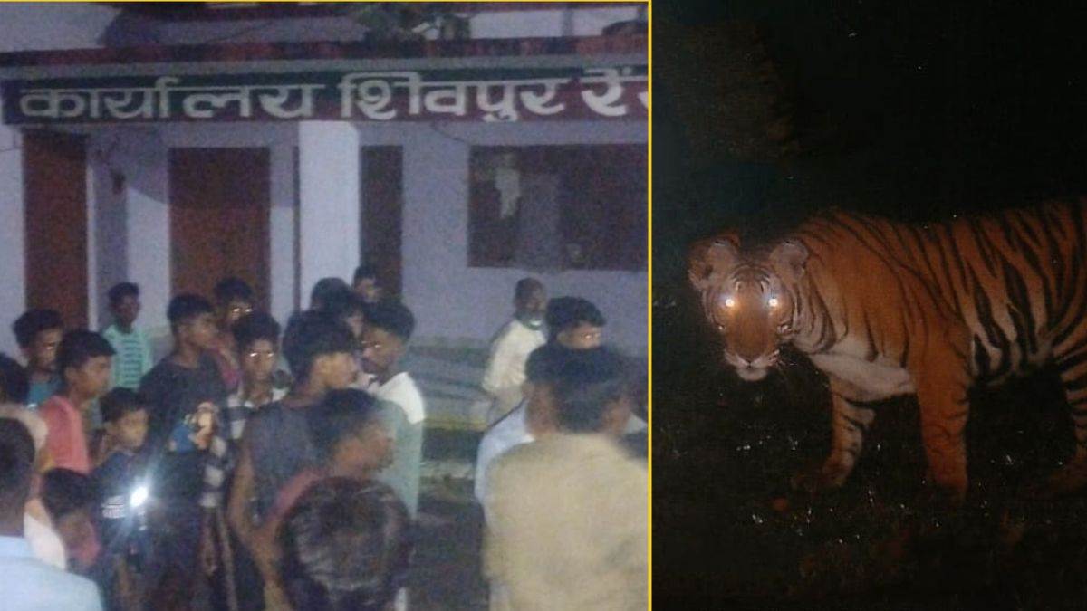 https://www.jagranimages.com/images/newimg/21082025/21_08_2025-maharajganj_news_24020114_145013597.jpg