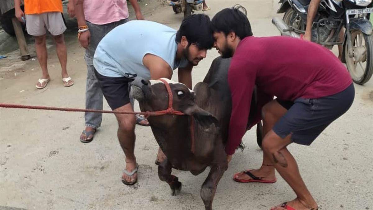 https://www.jagranimages.com/images/newimg/21082025/21_08_2025-palwal_news_update_2_24020140.jpg