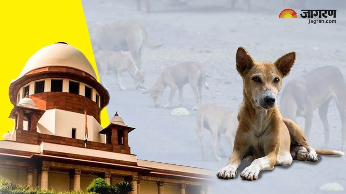 https://www.jagranimages.com/images/newimg/21082025/21_08_2025-stray_dogs_supreme_court_24020732_22303676.jpg