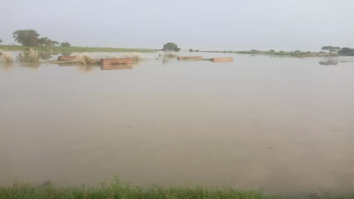 Deoria News: लगातार बढ़ रहा नदियों का जलस्तर, सरयू नदी खतरे के निशान से 1.20 मीटर ऊपर, बढ़ी दहशत