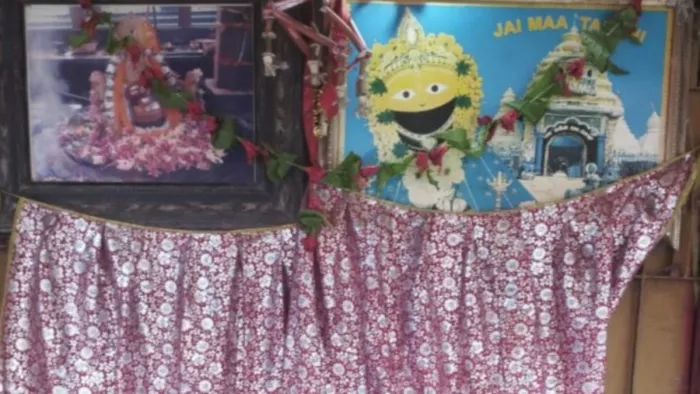 देवी तारिणी की मूर्ति कहीं भी रख दो वहां पर अपने आप नारियल के कृत्रिम पहाड़ बनने लगते हैं।