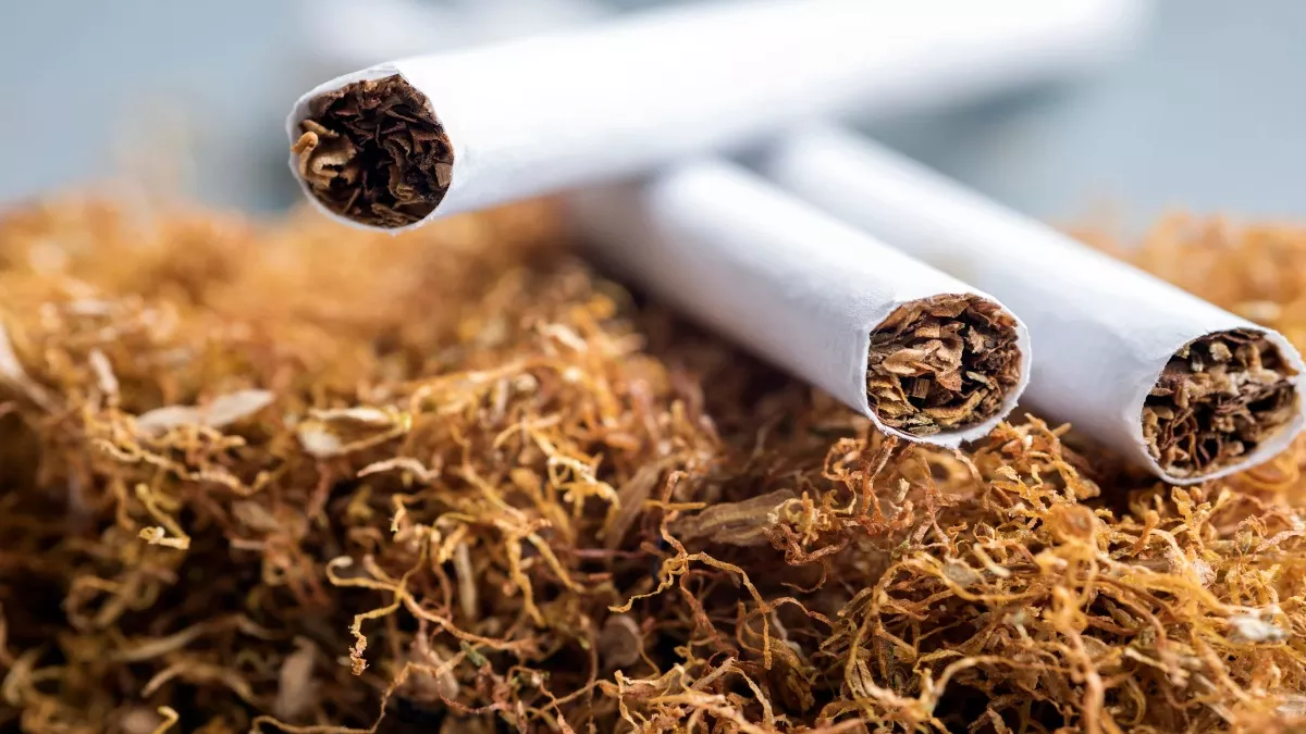 तंबाकू के सेवन से विश्व में हर साल 70 लाख से अधिक लोगों की मौत, पर्यावरण के लिए भी हानिकारक