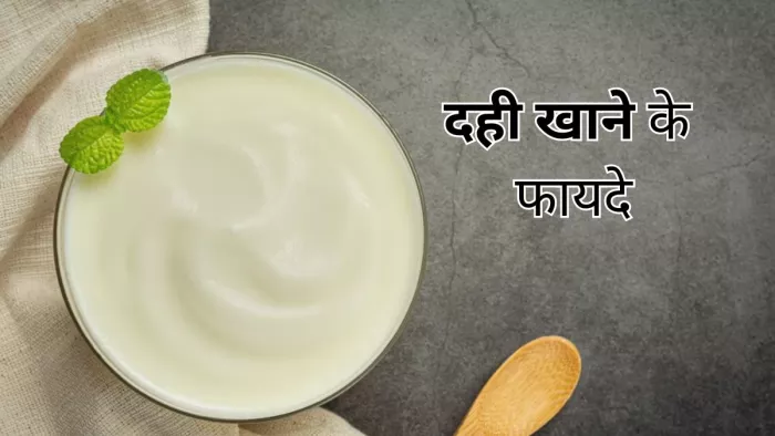 Health Benefits Of Curd: दही खाने के हैं गजब के फायदे