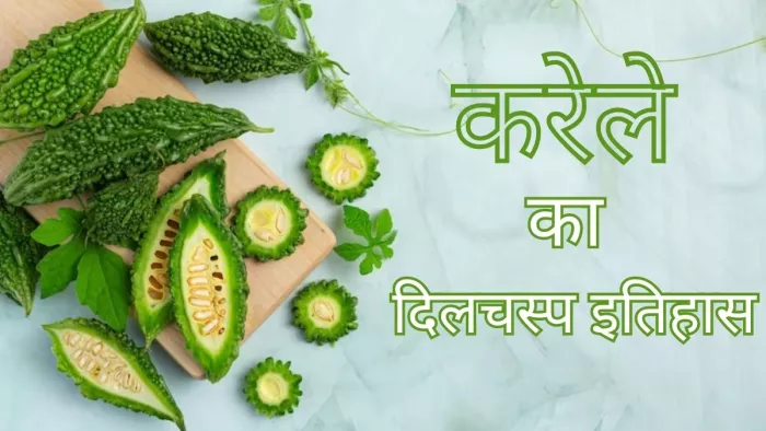पहली बार इस देश में पाया गया था करेला, फिर ऐसे पहुंचा भारत, पढ़ें इसका मजेदार इतिहास